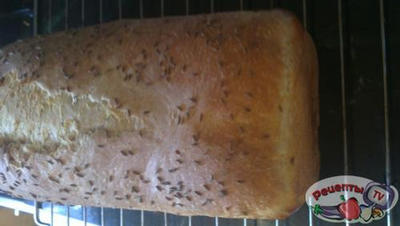 ���� ������� � ������