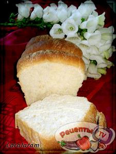 ���� �������� 