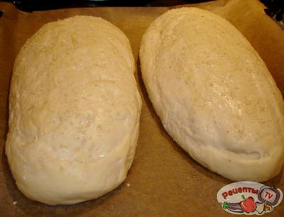 ������������ ����