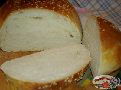 ������������ ����