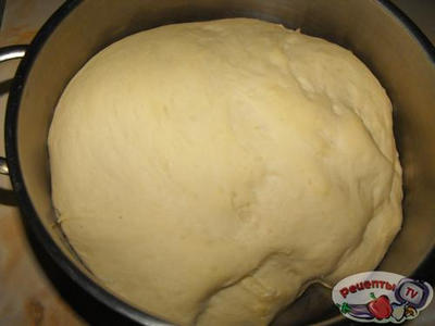 ������ ����