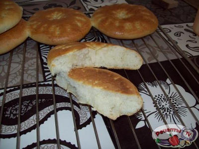 ������ ���������