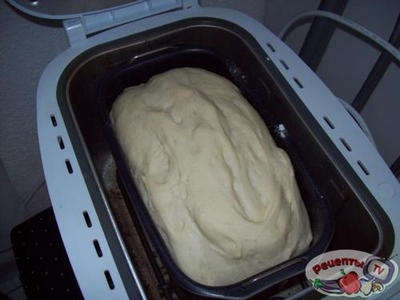 ������ ���������