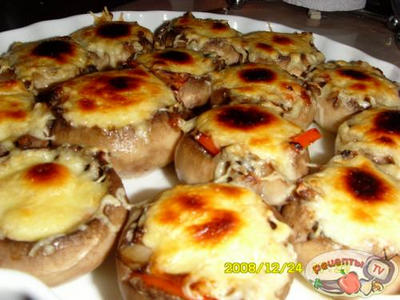 ������������� ������ �����������