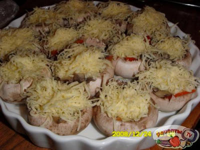 ������������� ������ �����������