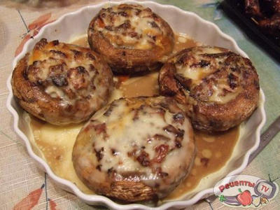 ������������� ������ �����������