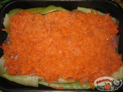 ��������� �����������