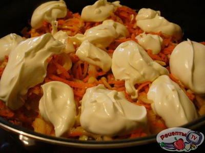 ������ ��������