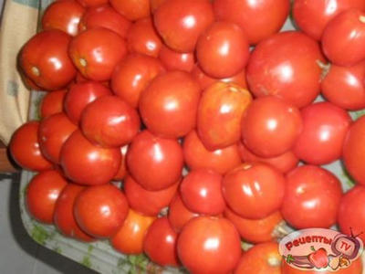 ��������, ������� � �� ������. ������ �� ������ �����������.