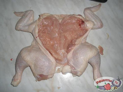 ����� �������