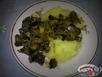 �������� � ������������