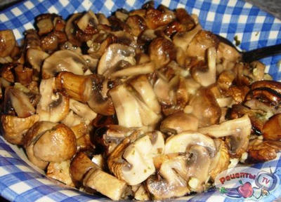 ��������� �� �����������