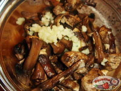 ��������� �� �����������