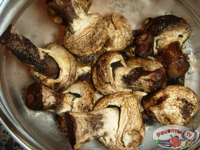 ��������� �� �����������