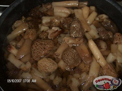 ������ �� ��������