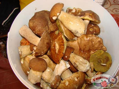 ����� ����� ������� (���������).