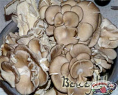 ��������-����������� ������ ������