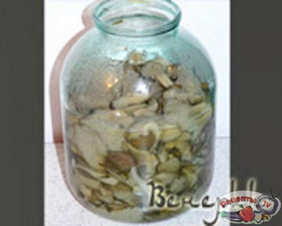 ��������-����������� ������ ������