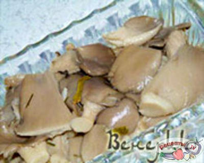 ��������-����������� ������ ������