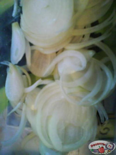 �������-������ ����