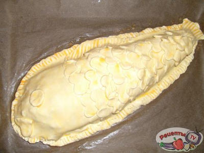 ������������ ������ ��������� � ������ �����