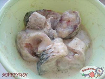 <i> ���� � ������������ ����� </i>