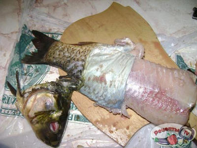 ���� ������������ ,� ��������