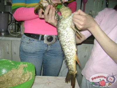 ���� ������������ ,� ��������