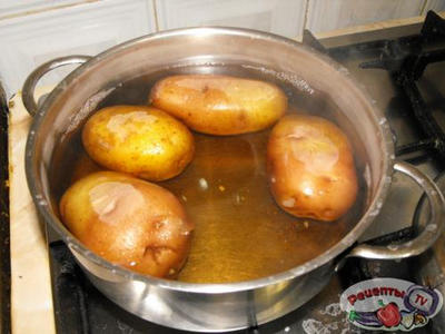 ������������ ���������� � ��������������