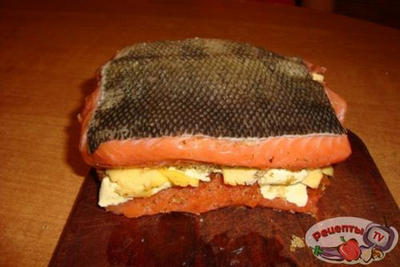 ���� �������������