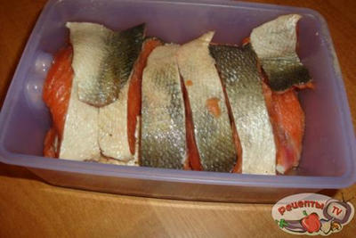 ���� ��� �������