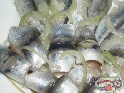 ������������ ������