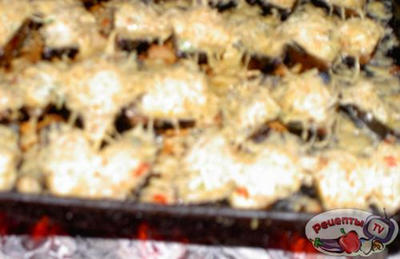 ����� ���������