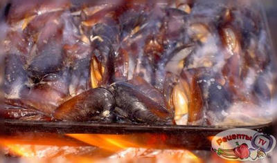 ����� ���������