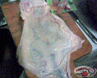 ���� - �������� � 