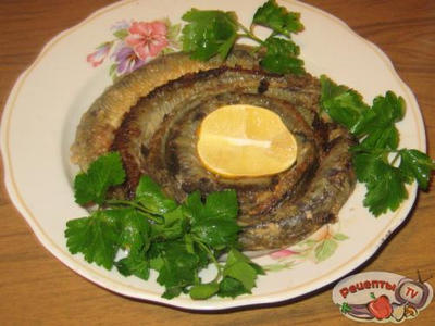 ������ � �������� �� �������� ��������� ������� ������