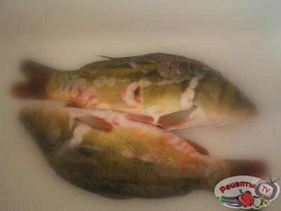 ���������� ���� �� �������� ��� �� ���� � �����