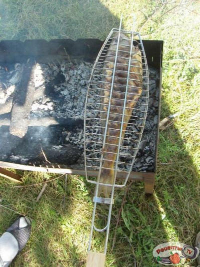 ����� �� �����