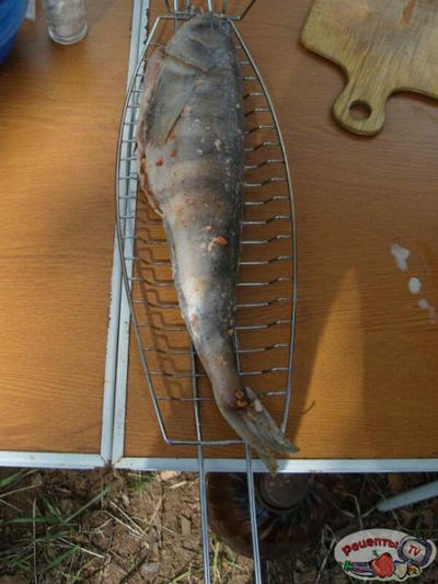 ����� �� �����