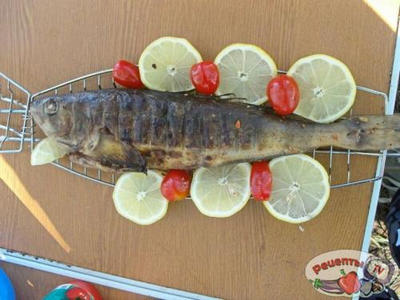 ����� �� �����