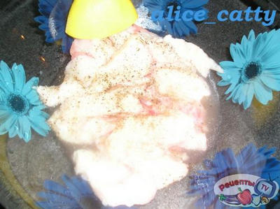 ������������ �����