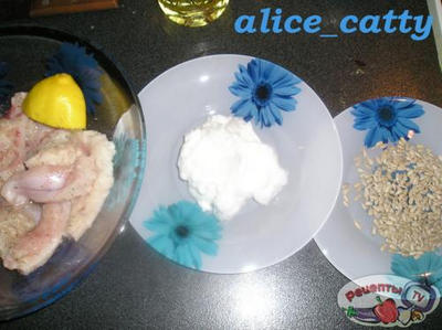 ������������ �����