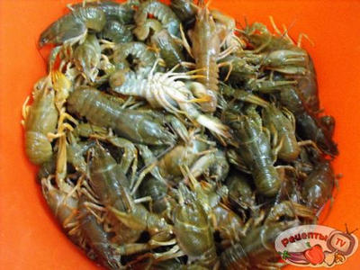 ���� ������� � �������!