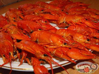 ���� ������� � �������!