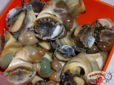 ������ ������� � �������