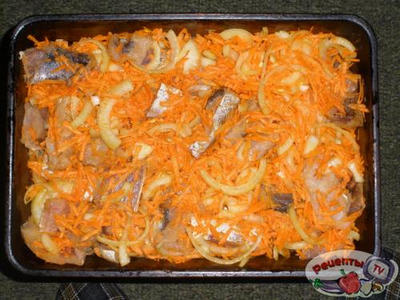 ����, ���������� � �������(�������)