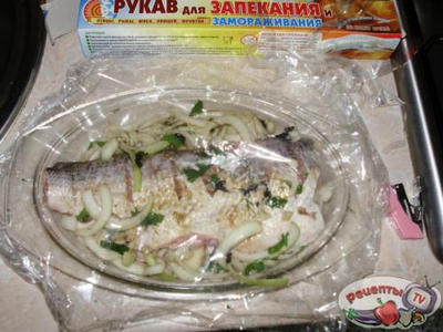 ������ � ������