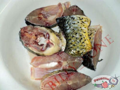 ����� ��� ���������