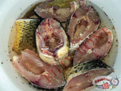 ����� ��� ���������