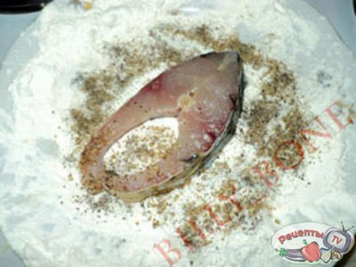 ����� ��� ���������